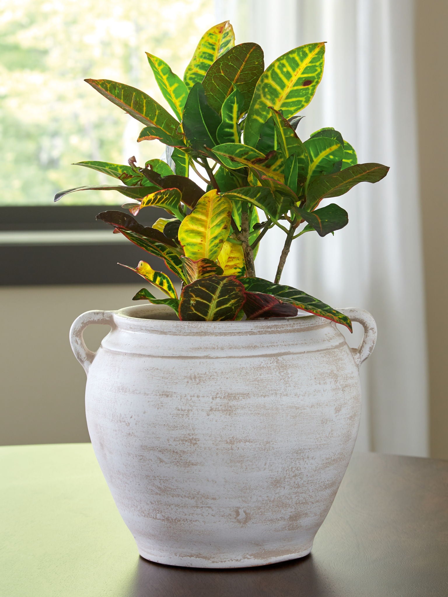 Meadie - Vase 9 po
