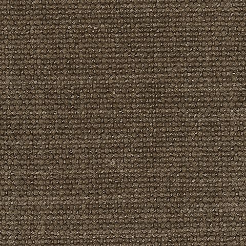 Camellia-Court - Modulaire