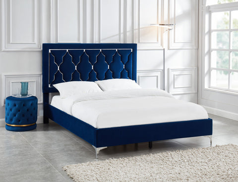 Dolce 60" Queen Platform Bed Blue