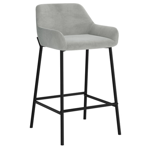 Baily 26'' Counter Stool, Set Of 2 Grey