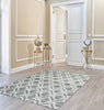 CAMBRIDGE C211C Grey/Beyaz AREA RUG