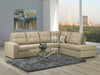 9883 Coral 2-Piece Sectional